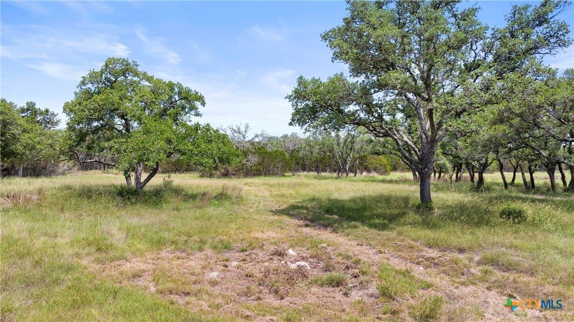 25.11 acres in Blanco County - photo 17