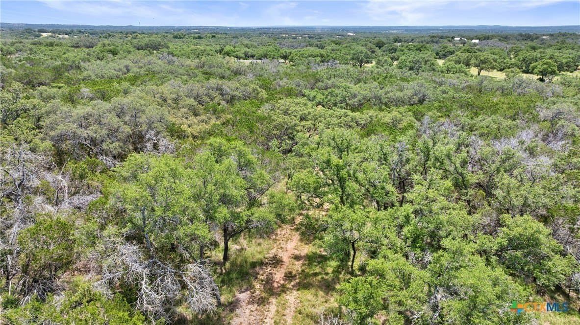25.11 acres in Blanco County - photo 19