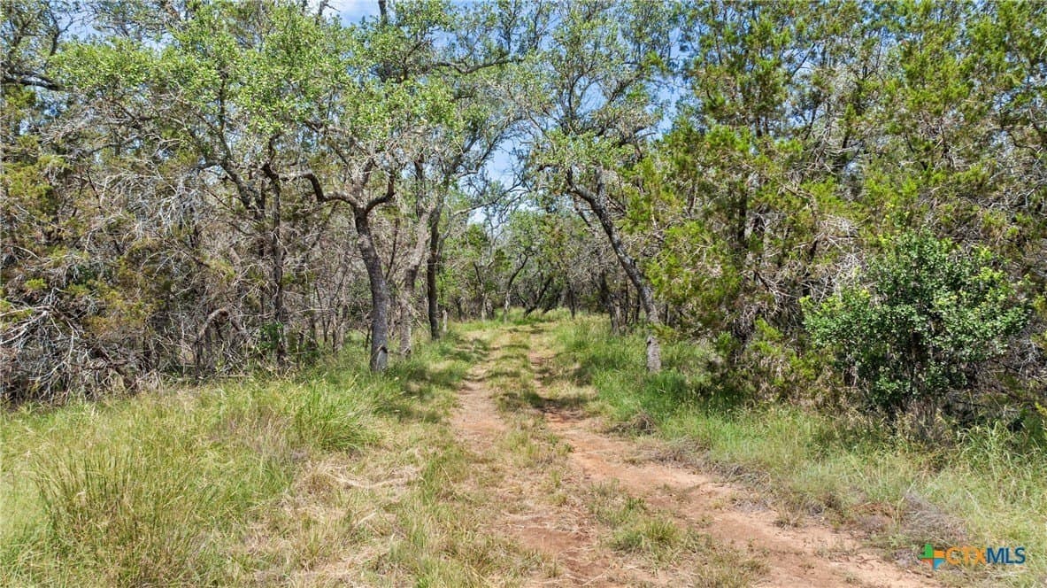 25.11 acres in Blanco County - photo 18