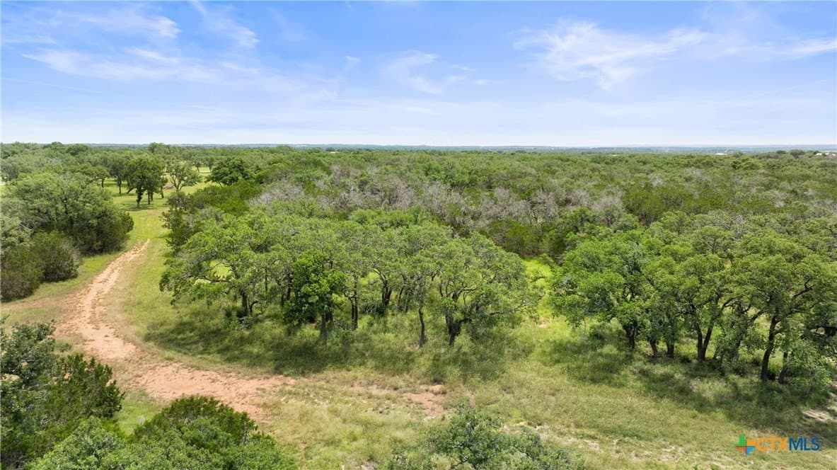 25.11 acres in Blanco County - photo 14