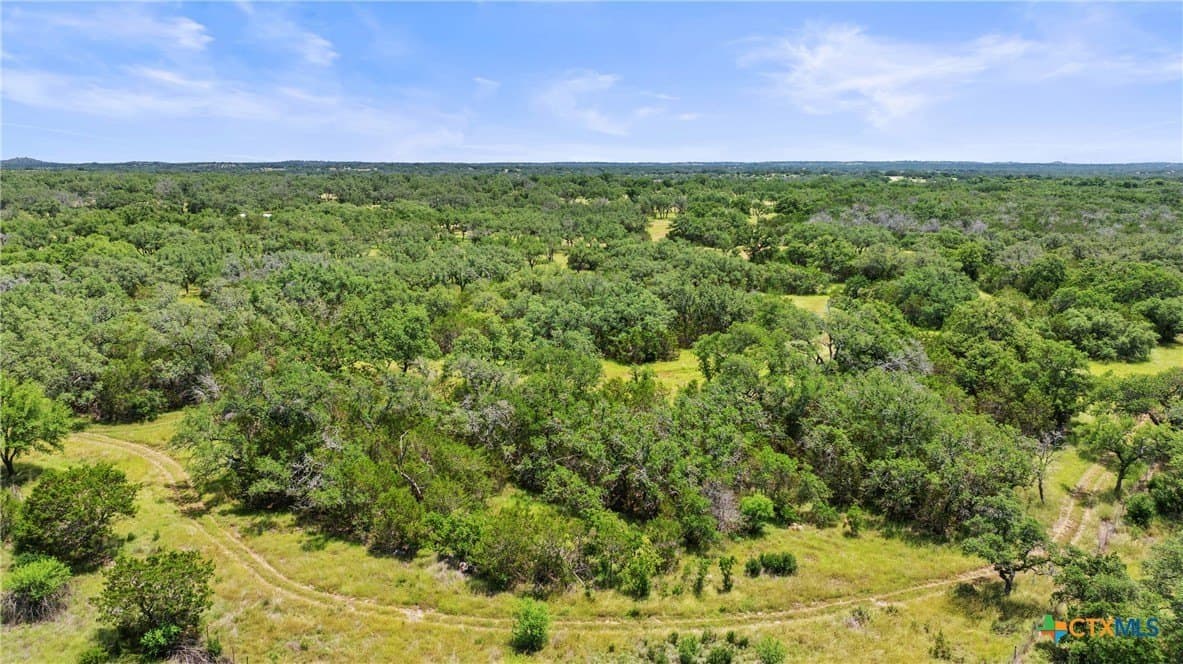 25.11 acres in Blanco County - photo 11