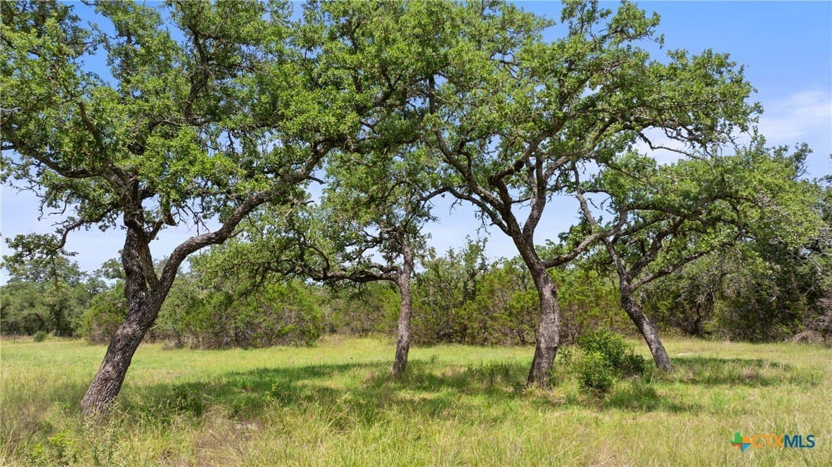 25.11 acres in Blanco County - photo 23