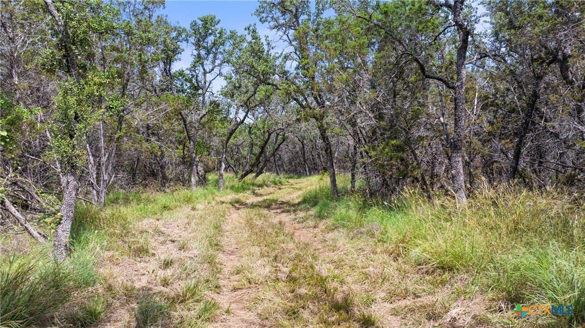 25.11 acres in Blanco County - photo 22