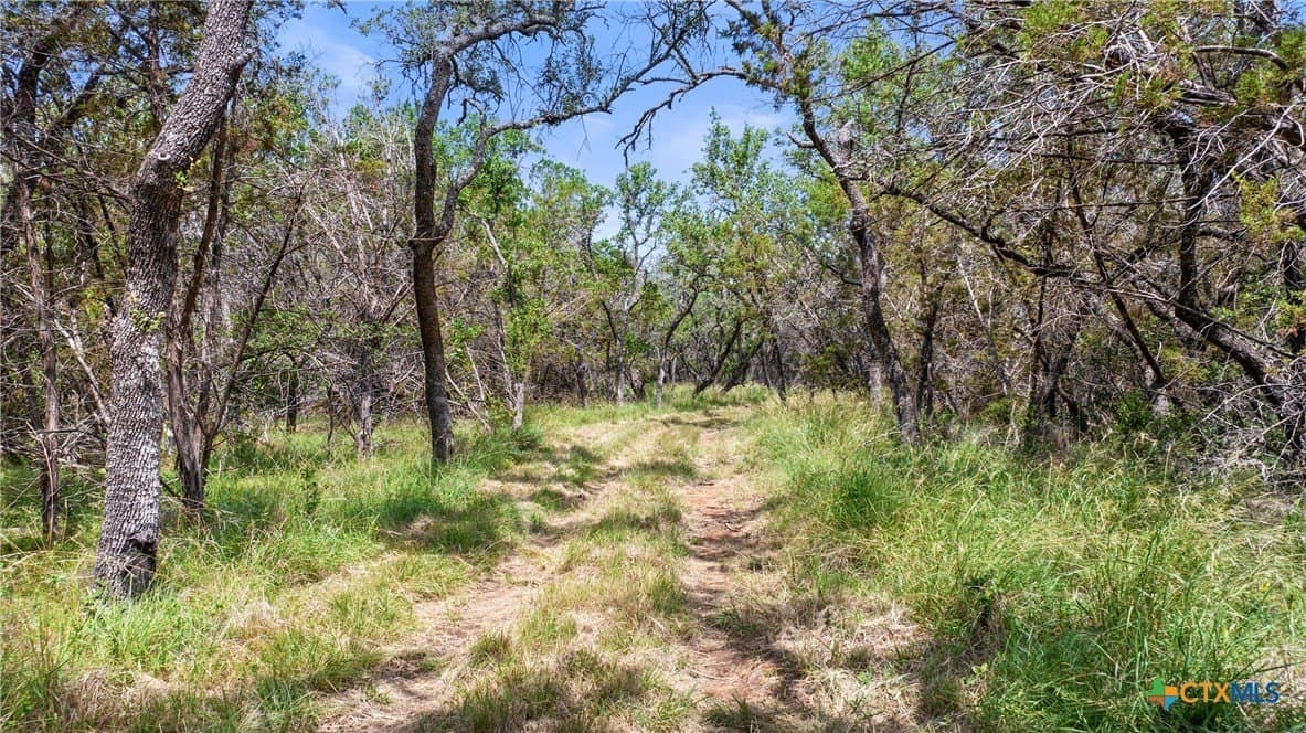 25.11 acres in Blanco County - photo 21