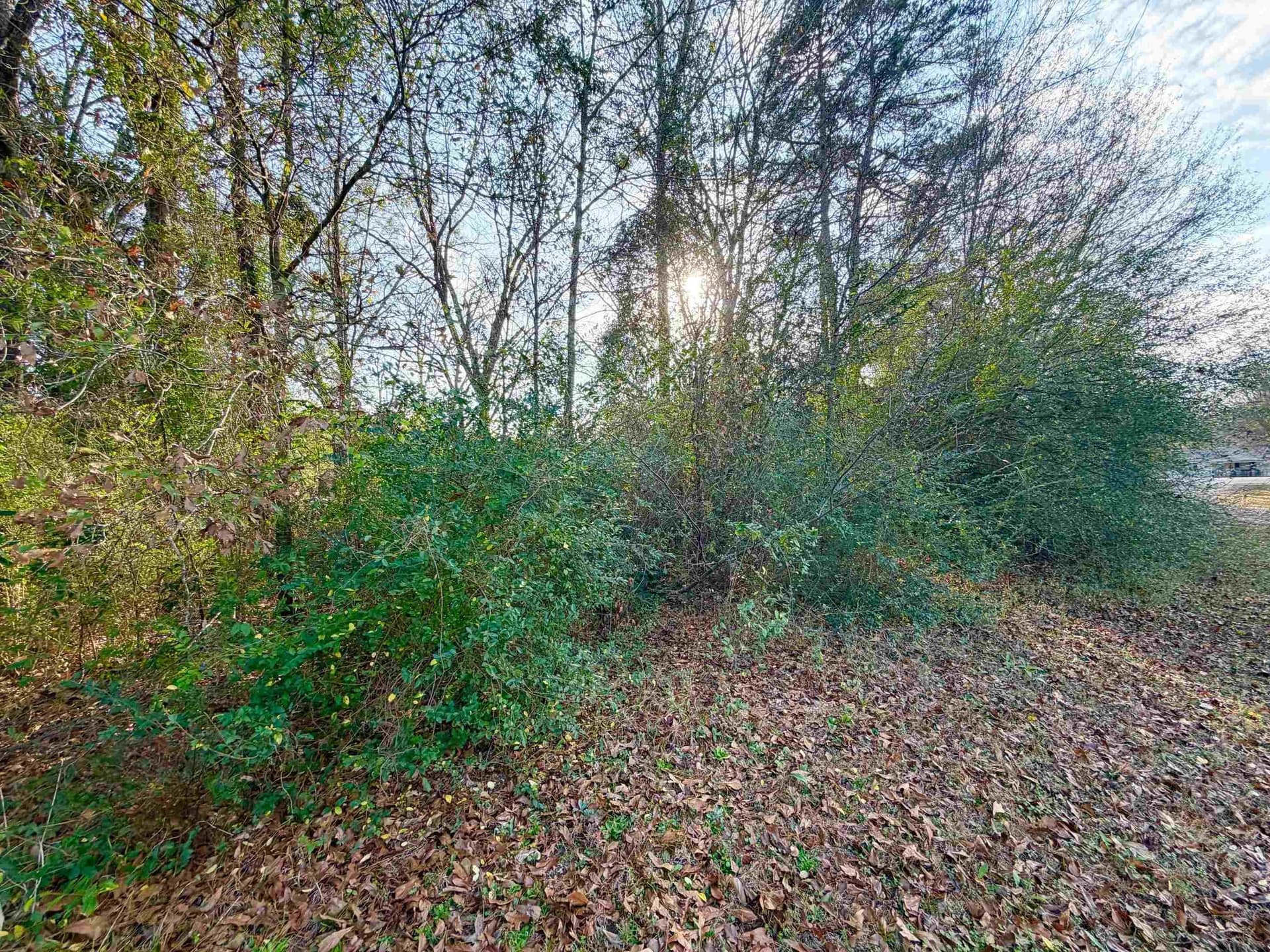 7.12 acres in Gregg County - photo 6
