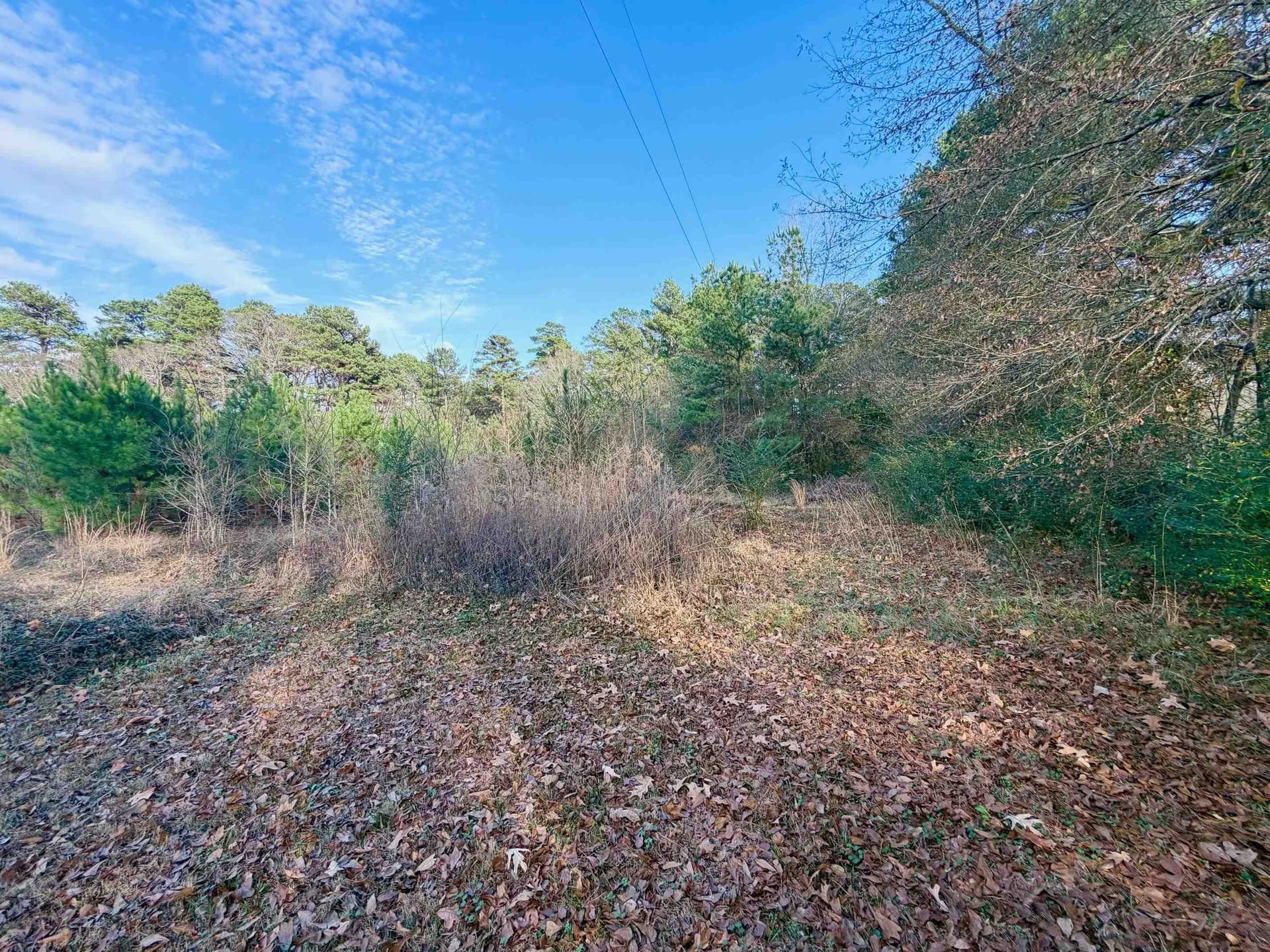 7.12 acres in Gregg County - photo 2
