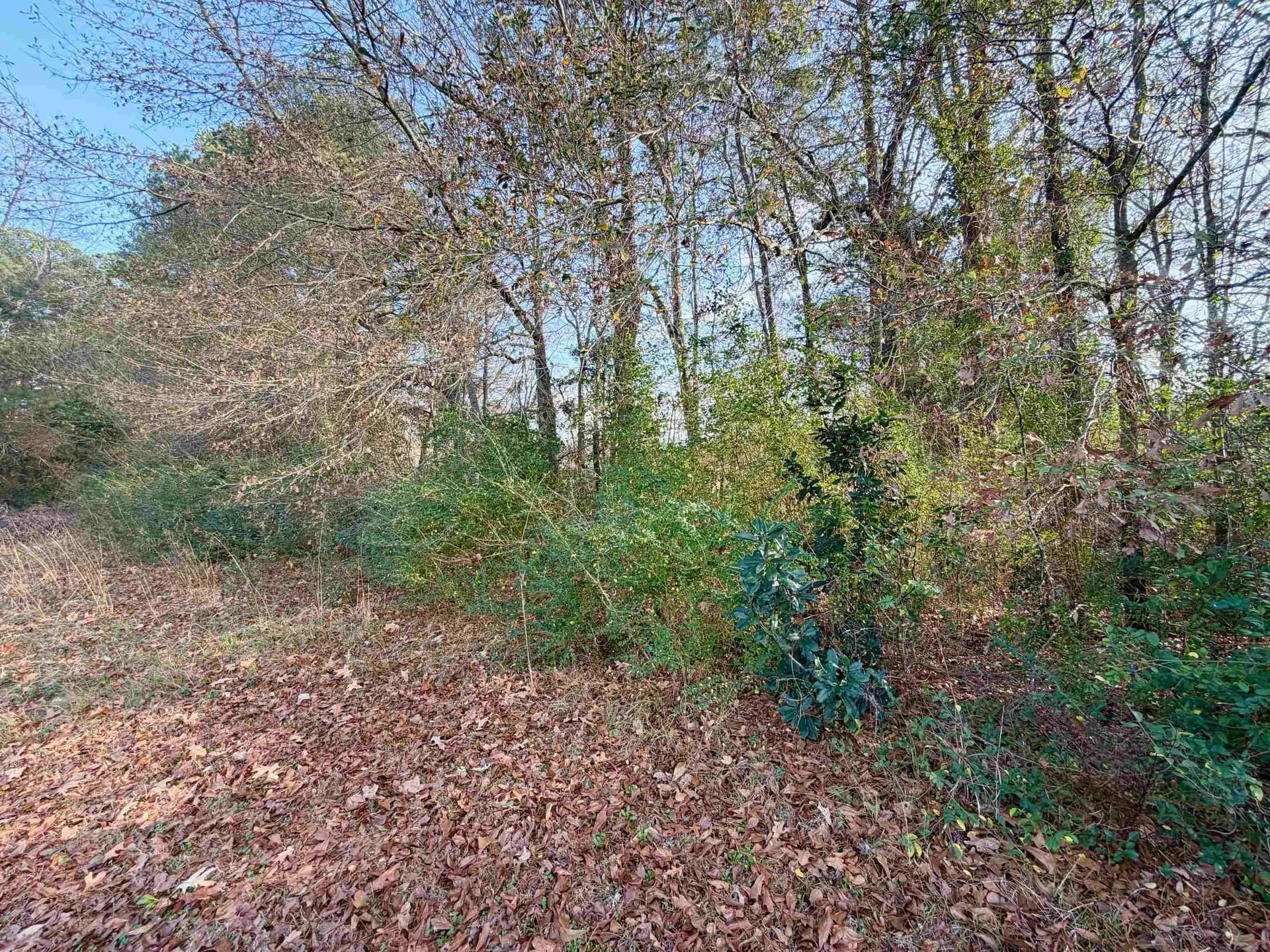 7.12 acres in Gregg County - photo 7