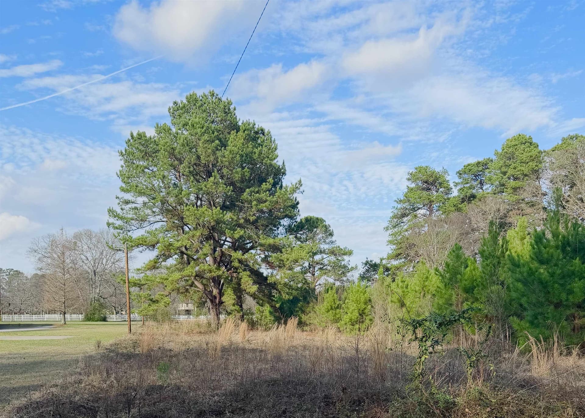 7.12 acres in Gregg County - photo 4