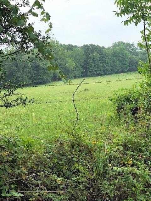 263.5 acres in ANDERSON County - photo 5