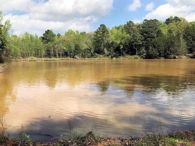 263.5 acres in ANDERSON County - photo 2