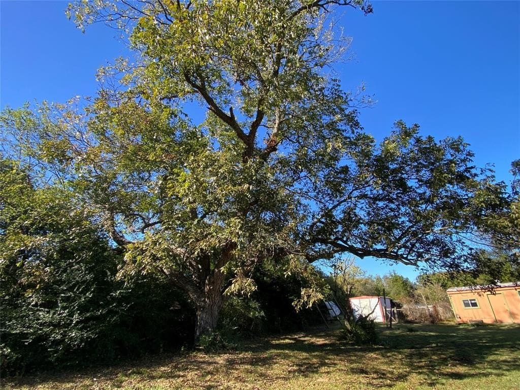 16.62 acres in Smith County - photo 21