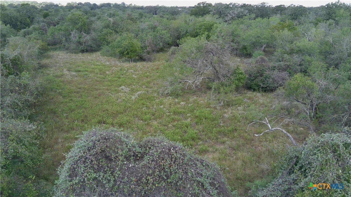 39.84 acres in Guadalupe County - photo 14