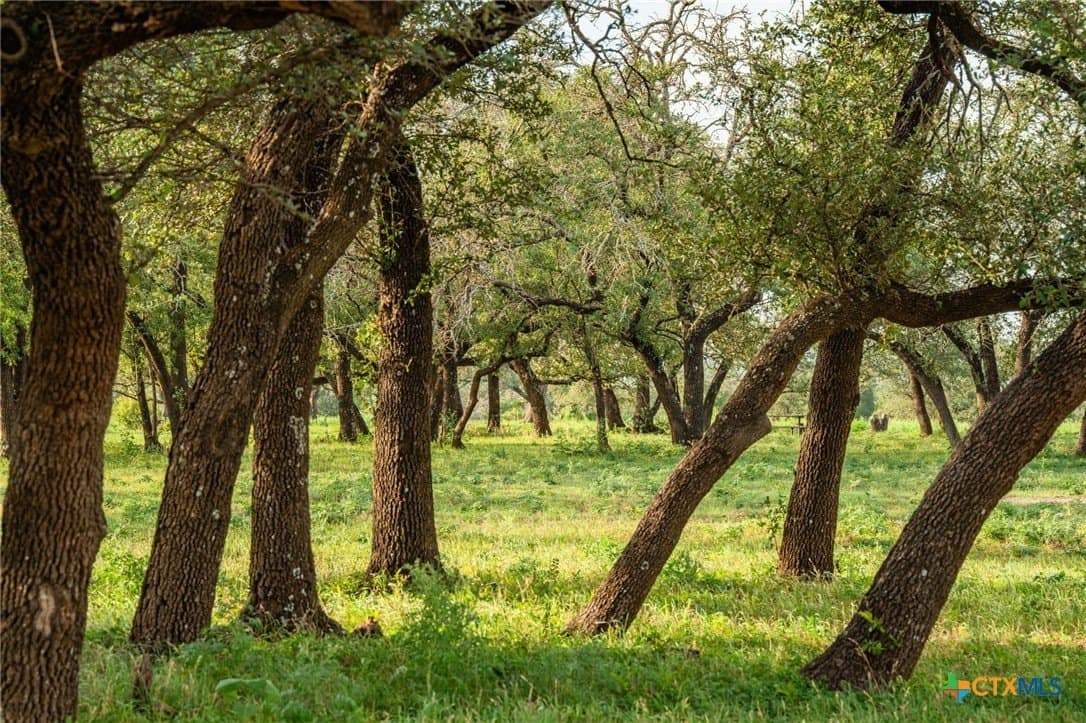 57.07 acres in Williamson County - photo 33