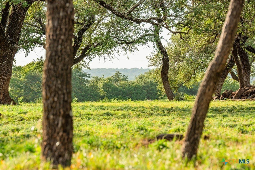 57.07 acres in Williamson County - photo 7