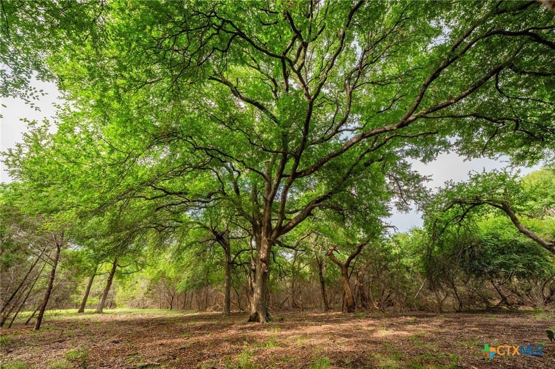 57.07 acres in Williamson County - photo 30