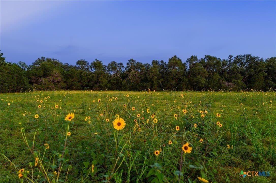 57.07 acres in Williamson County - photo 6
