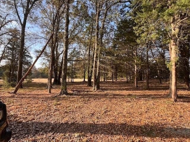 28.99 acres in Lamar County - photo 3