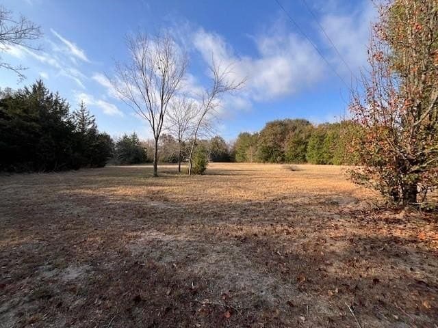 28.99 acres in Lamar County - photo 2