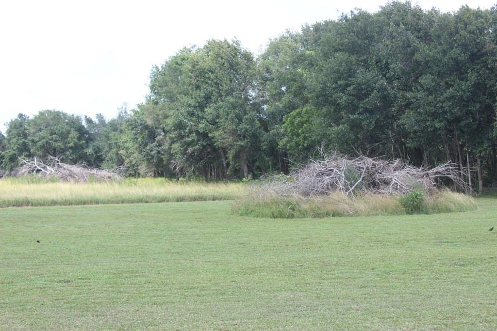 1 acres in Texas County - photo 3