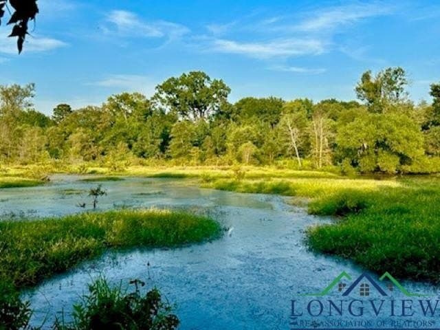 137.4 acres in Texas County - photo 19