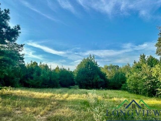 137.4 acres in Texas County - photo 17