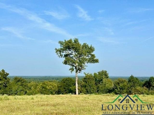 137.4 acres in Texas County - photo 11