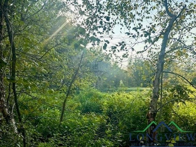 137.4 acres in Texas County - photo 15