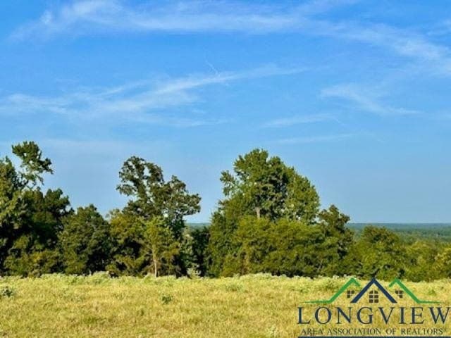 137.4 acres in Texas County - photo 12