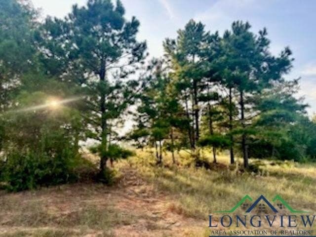 137.4 acres in Texas County - photo 16