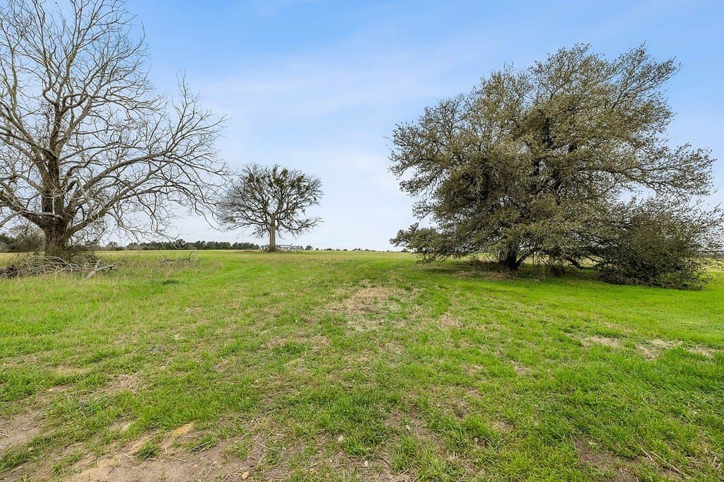 2 acres in Fayette County - photo 3