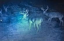 100 acres in Bell County - photo 39
