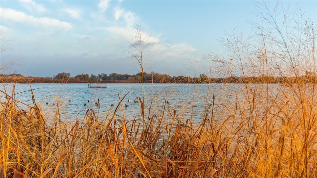 100 acres in Bell County - photo 9