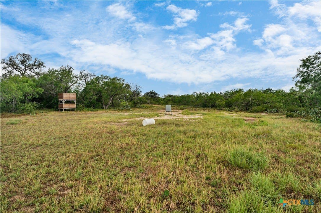 337.34 acres in Gonzales County - photo 4