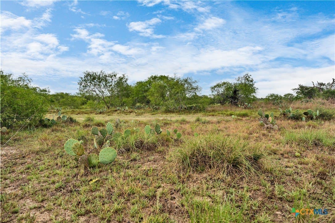 337.34 acres in Gonzales County - photo 6