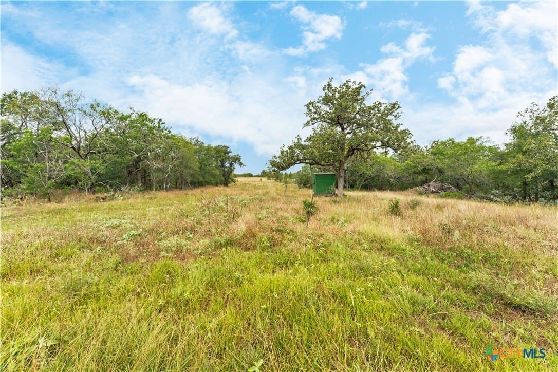 337.34 acres in Gonzales County - photo 13