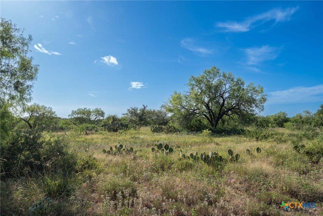 337.34 acres in Gonzales County - photo 21
