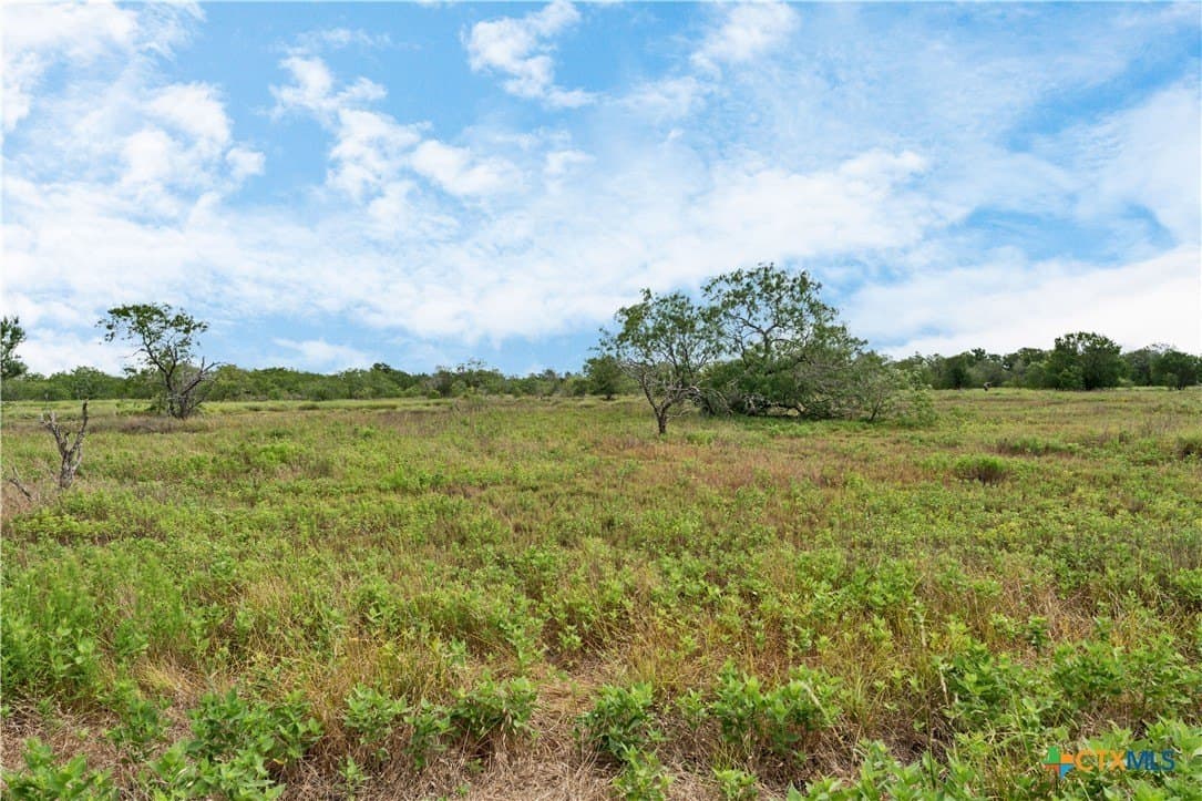337.34 acres in Gonzales County - photo 8