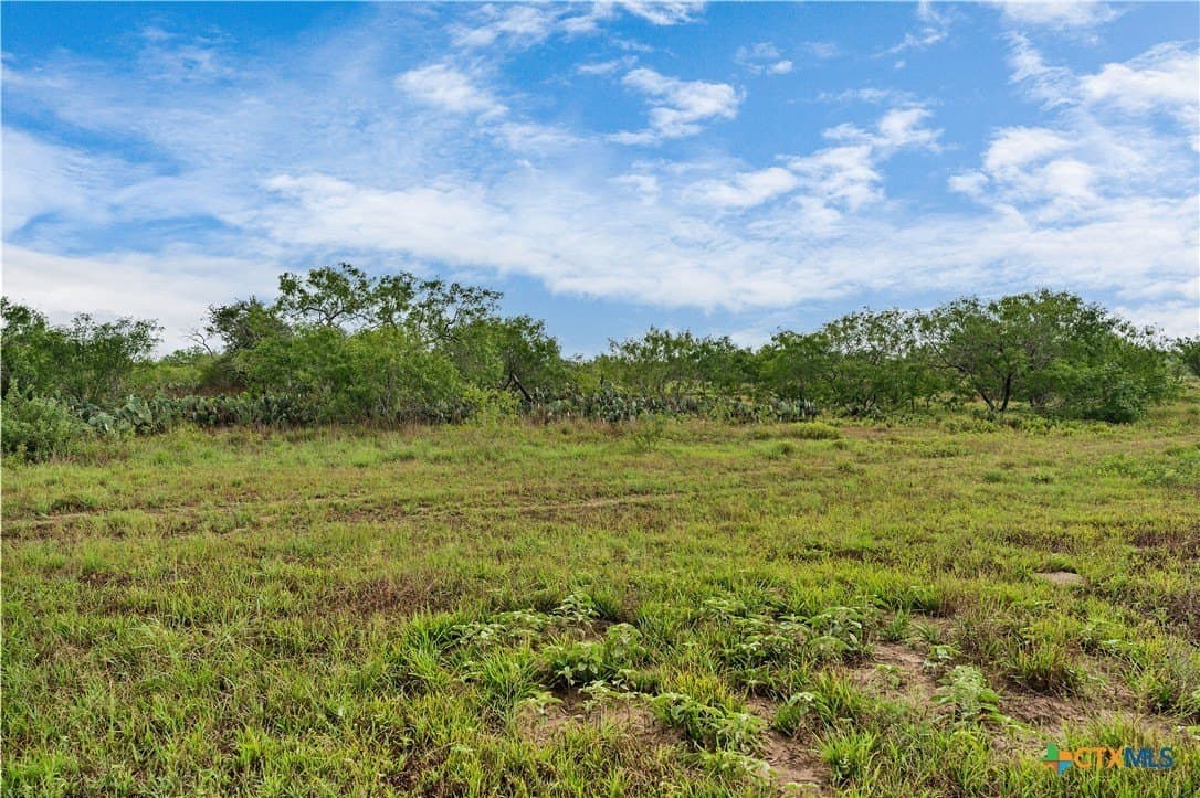 337.34 acres in Gonzales County - photo 7