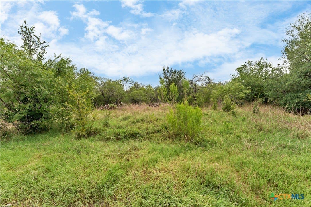 337.34 acres in Gonzales County - photo 12