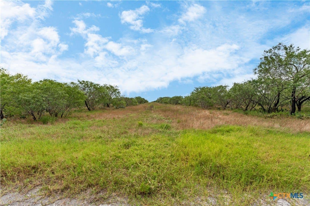 337.34 acres in Gonzales County - photo 9
