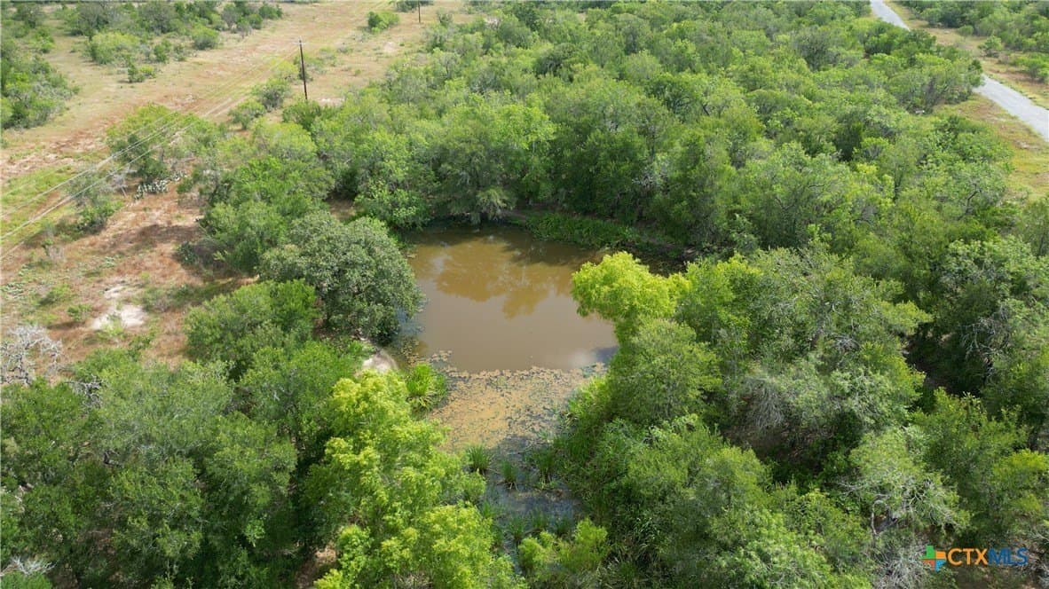 337.34 acres in Gonzales County - photo 3