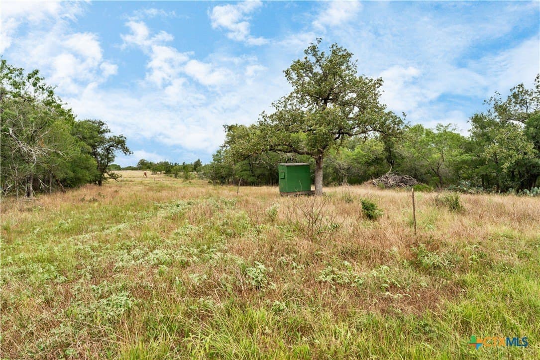 337.34 acres in Gonzales County - photo 15