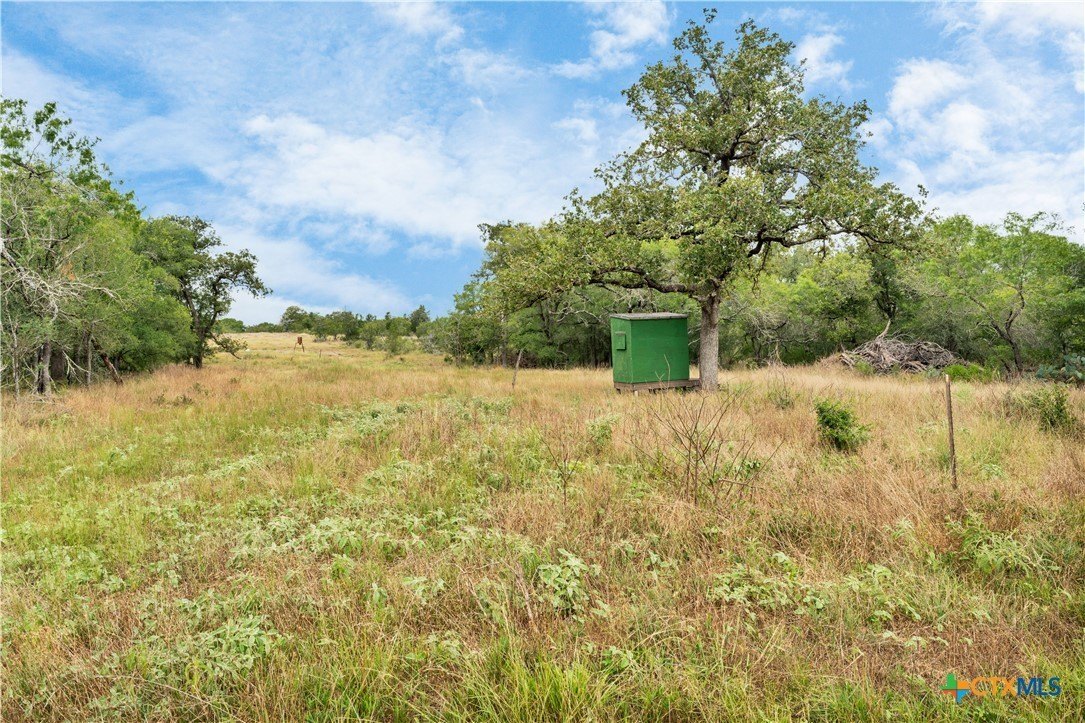 337.34 acres in Gonzales County - photo 14