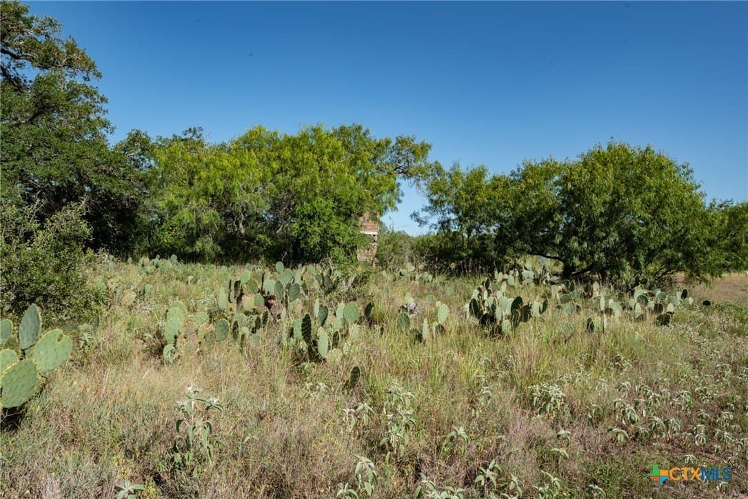 337.34 acres in Gonzales County - photo 23