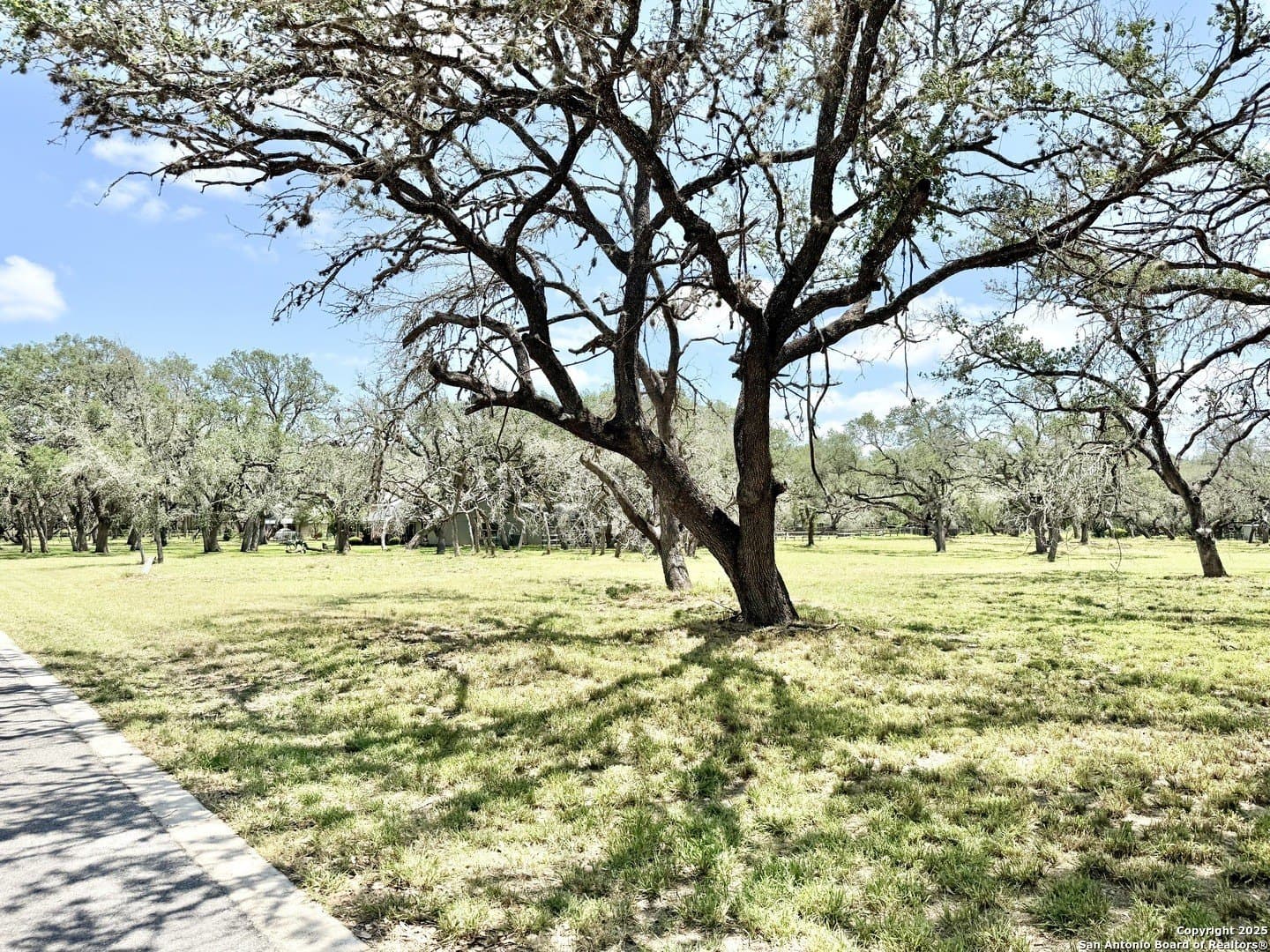 2 acres in Atascosa County - photo 7