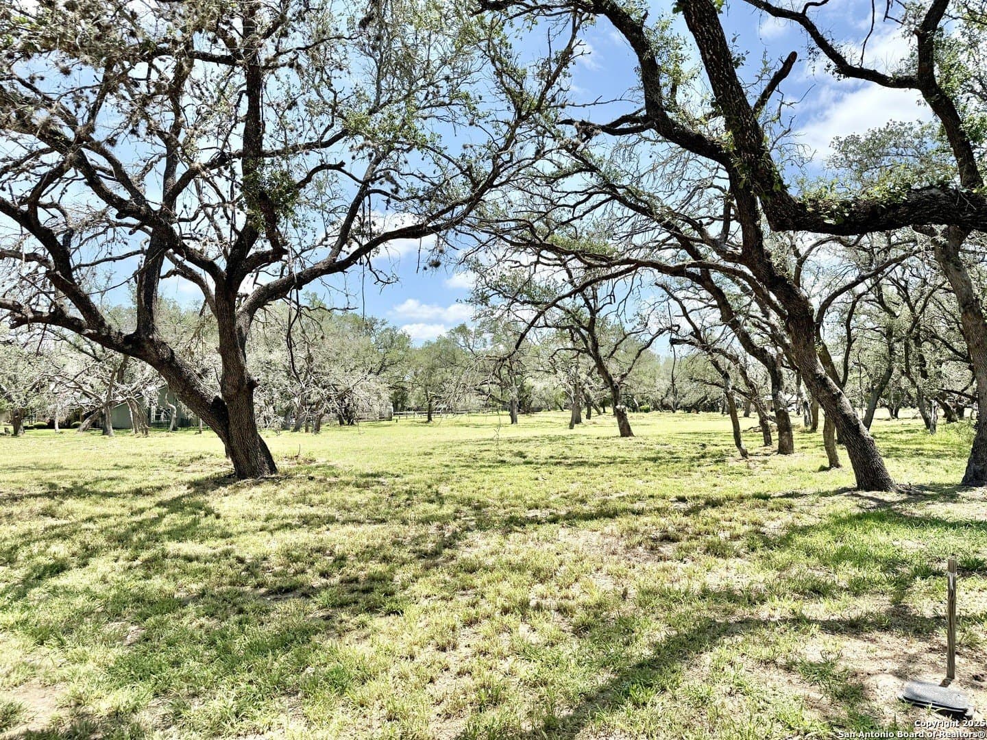 2 acres in Atascosa County - photo 12