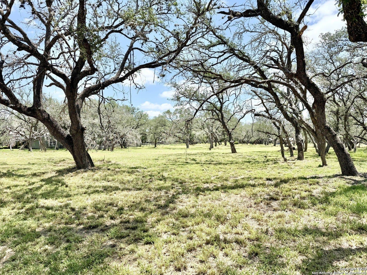 2 acres in Atascosa County - photo 9