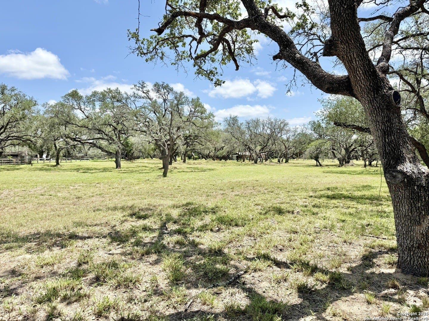 2 acres in Atascosa County - photo 10