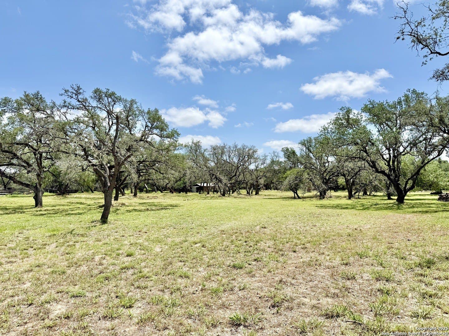 2 acres in Atascosa County - photo 3