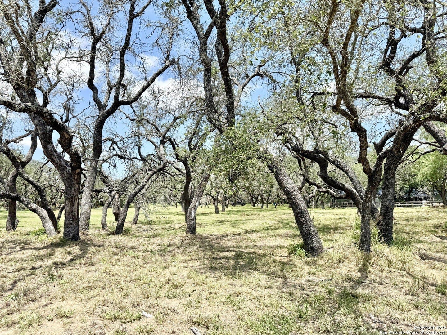 2 acres in Atascosa County - photo 15